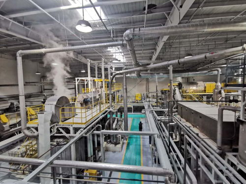 一年吃进20亿个废旧饮料瓶 这家绿色工厂从北京搬迁天津正式投产